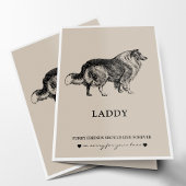 Sympathiekarten für Haustiere | Best Friend Collie Karte