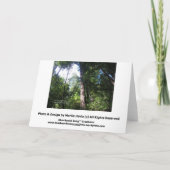 Sympathies - Redwoods - Card Karte (Rückseite)