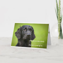 Sympathikkarte: Flatcoat Retriever Karte