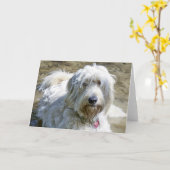 Sympathische Hunde helfen, die Schmerz über Karte (Gelbe Blume)