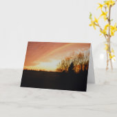 Sympathische Karte "Cross Country Sunset" (Gelbe Blume)