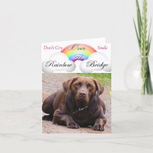 Sympathische Karten für Hunde j/ Labdor Retrivers