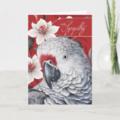 Sympathy African Grey Parrot Red and White Lilies Karte (Vorderseite)