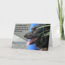 Sympathy Card für Hunde - Sonnenschein in den Auge Karte