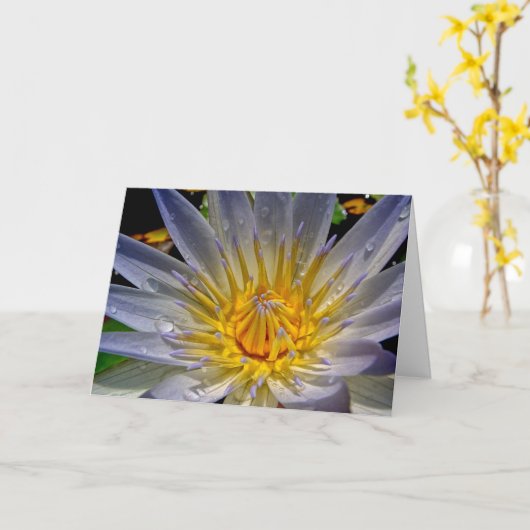 Sympathy Card mit einfacher Bibelbotschaft. Karte (Gelbe Blume)