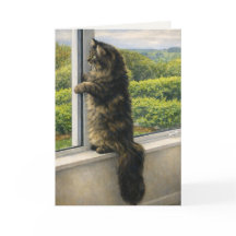 Sympathy Card | Quiet Maine Coon Cat at the Window