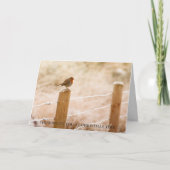 Sympathy Cards Weihnachten | Friedliche Gedanken (Vorderseite)