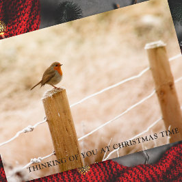Sympathy Cards Weihnachten | Friedliche Gedanken