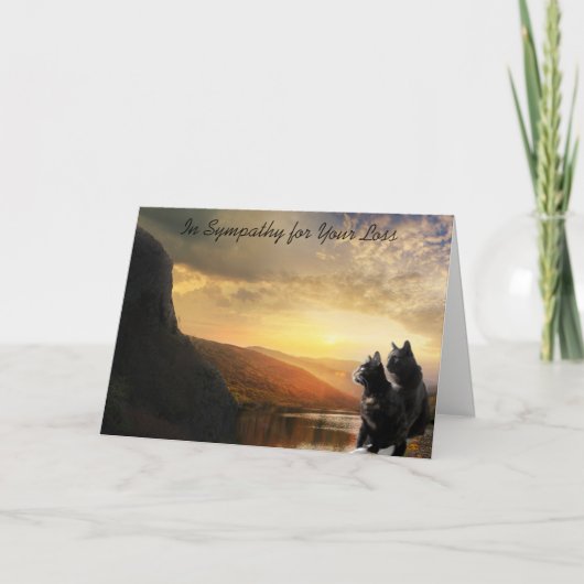 Sympathy Death of Pet Cat Karte (Vorderseite)