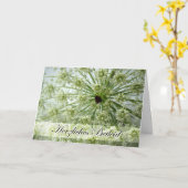 Sympathy in German, Queen Anne's Lace, Flowers Karte (Gelbe Blume)