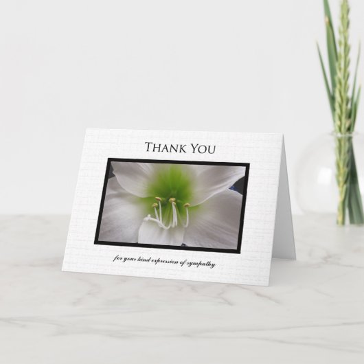 Sympathy Thank You Card - White Amaryllis Dankeskarte (Vorderseite)