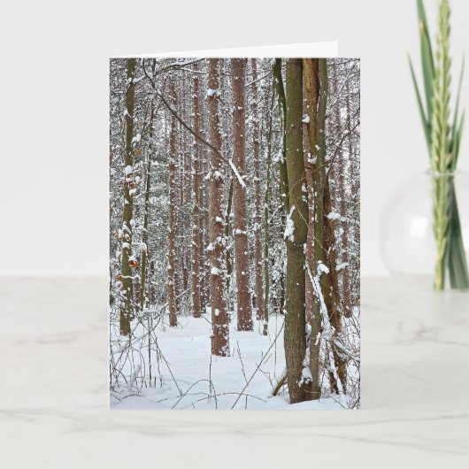 Sympathy Tranquil Winter Forest Karte (Vorderseite)