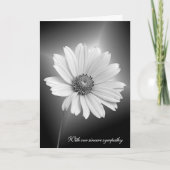Sympathy White Daisy With Light Beams Karte (Vorderseite)