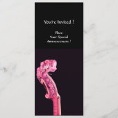 SYMPHONIA CLASSIC MUSIC Concept Program Fuchsia Programm (Vorderseite)