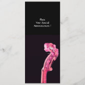 SYMPHONIA CLASSIC MUSIC Concept Program Fuchsia Programm (Rückseite)