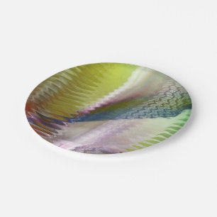 Symphonic II Pappteller