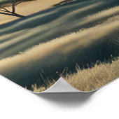 Symphonie der Primate Poster (Ecke)