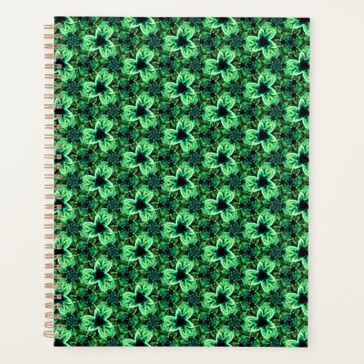 Symphonie in Grün Planer (Vorderseite)