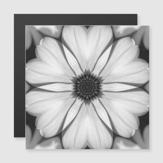 Symphonie von Petalen Magnetkarte (Vorne/Hinten)