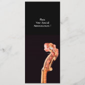 SYMPHONIEN/CLASSIC MUSIC CONCERT PROGRAMM (Rückseite)