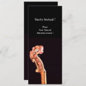 SYMPHONIEN/CLASSIC MUSIC CONCERT PROGRAMM (Vorne/Hinten)