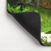 Symphysodon Behälter mit Tetras Fischen Mousepad (Ecke)