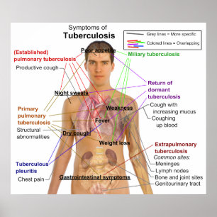 Symptom-Diagramm der Tuberkulose in den Menschen Poster