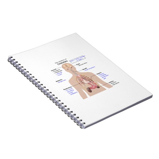Symptoms of Diabetes Notizblock (Rechte Seite)