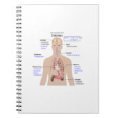 Symptoms of Diabetes Notizblock (Vorderseite)