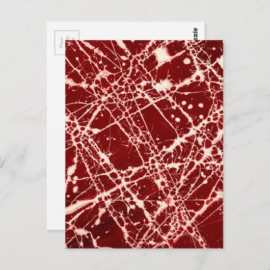 SYNAPIERE ~ POSTKARTE (Vorne/Hinten)