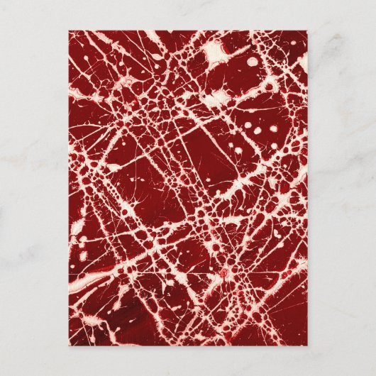 SYNAPIERE ~ POSTKARTE (Vorderseite)