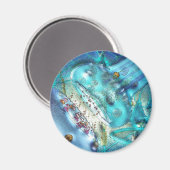 Synapse-Magnet Magnet (Vorderseite/Rückseite)