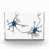 Synapse zwischen Neuronen, Neurowissenschaftsneuro Fotoblock (Vorderseite)