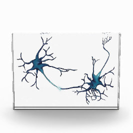 Synapse zwischen Neuronen, Neurowissenschaftsneuro Fotoblock
