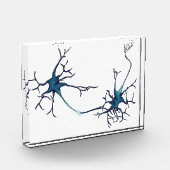 Synapse zwischen Neuronen, Neurowissenschaftsneuro Fotoblock (Links)