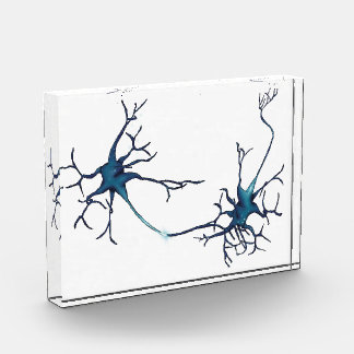 Synapse zwischen Neuronen, Neurowissenschaftsneuro Fotoblock