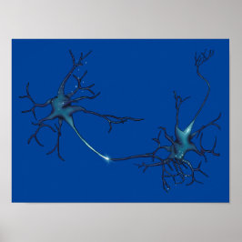Synapse zwischen Neuronen, Neurowissenschaftsneuro Poster