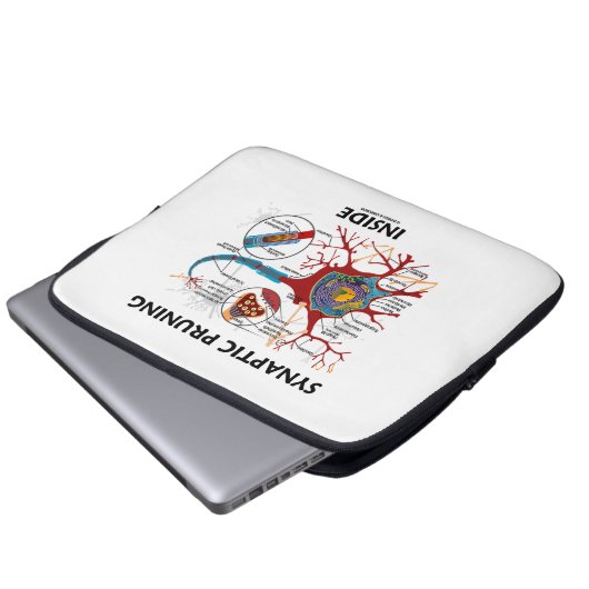 Synaptische Beschneidung innerhalb der Laptopschutzhülle (Vorne Knopf)