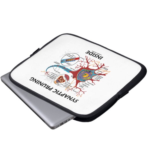 Synaptische Beschneidung innerhalb der Laptopschutzhülle (Vorne Knopf)