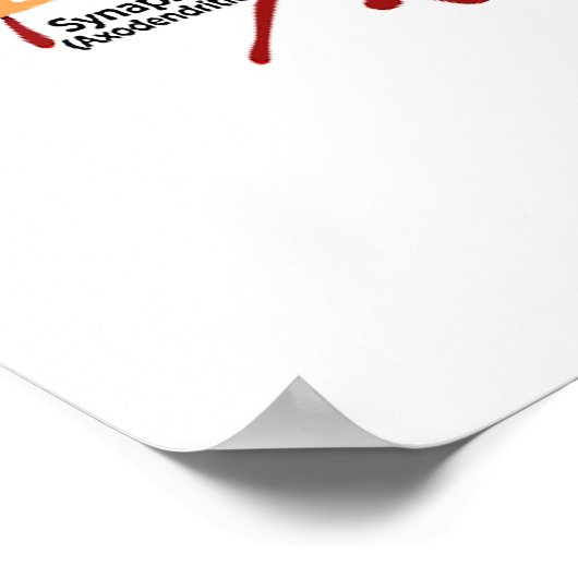 Synaptisches Beschneiden in Neuron Synapse Neurolo Poster (Ecke)