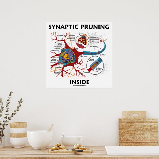 Synaptisches Beschneiden in Neuron Synapse Neurolo Poster (Küche)