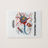 Synaptisches Beschneiden in Neuron Synapse Neurolo Puzzle (Horizontal)