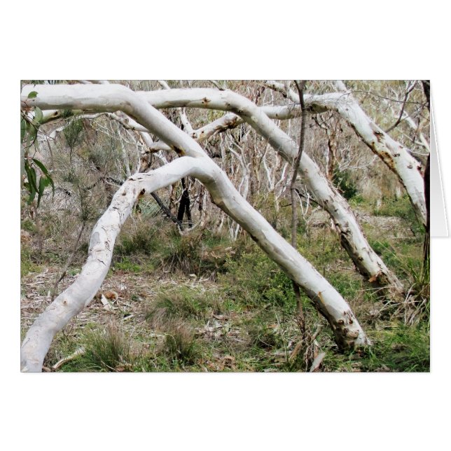 Synchronicity (Vorderseite (Horizontal))