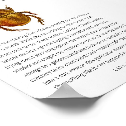 Synchronicity Scarab Poster (Ecke)