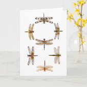 Synchronisierte Libellen Karte (Gelbe Blume)