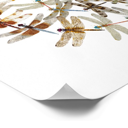 Synchronisierte Libellen Poster (Ecke)