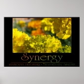 Synergie Poster (Vorne)