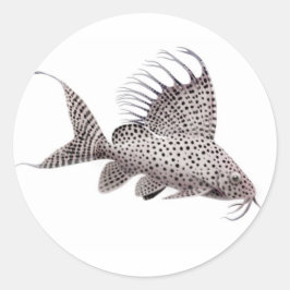 Synodontis Catfish Sticker