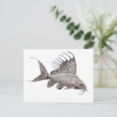 Synodontis eupterus Catfish Postkarte (Stehend Vorderseite)