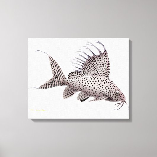 Synodontis Eupterus Catfish Wrapped Canvas Leinwanddruck (Vorderseite)